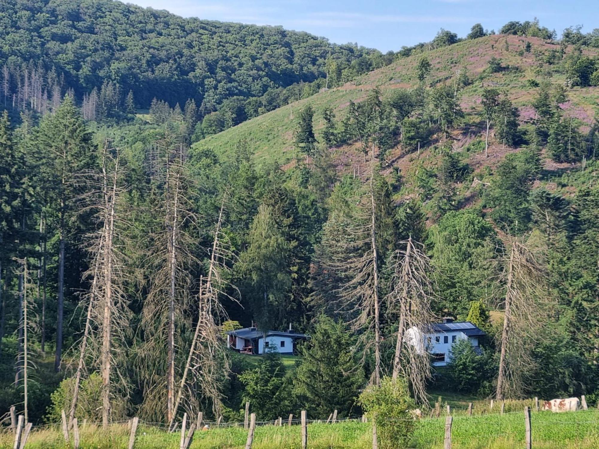 Explorer'S Lodge & Camping Helminghausen Экстерьер фото