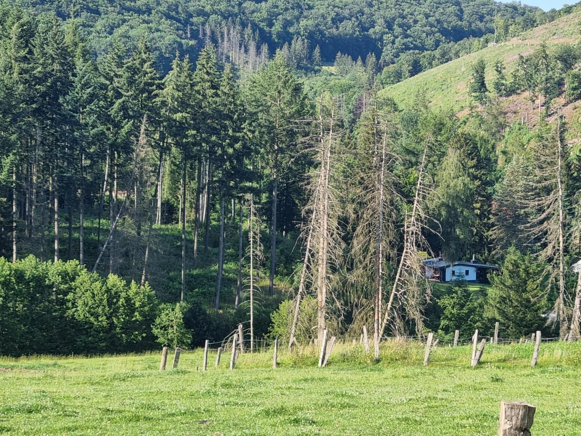 Explorer'S Lodge & Camping Helminghausen Экстерьер фото