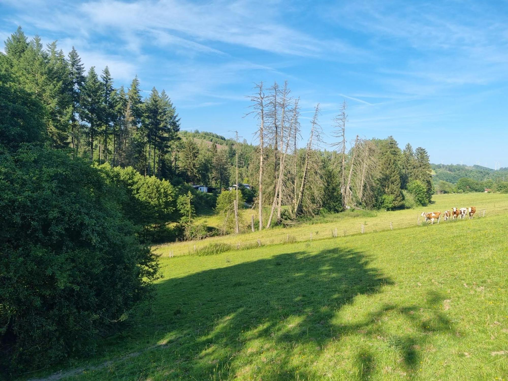 Explorer'S Lodge & Camping Helminghausen Экстерьер фото