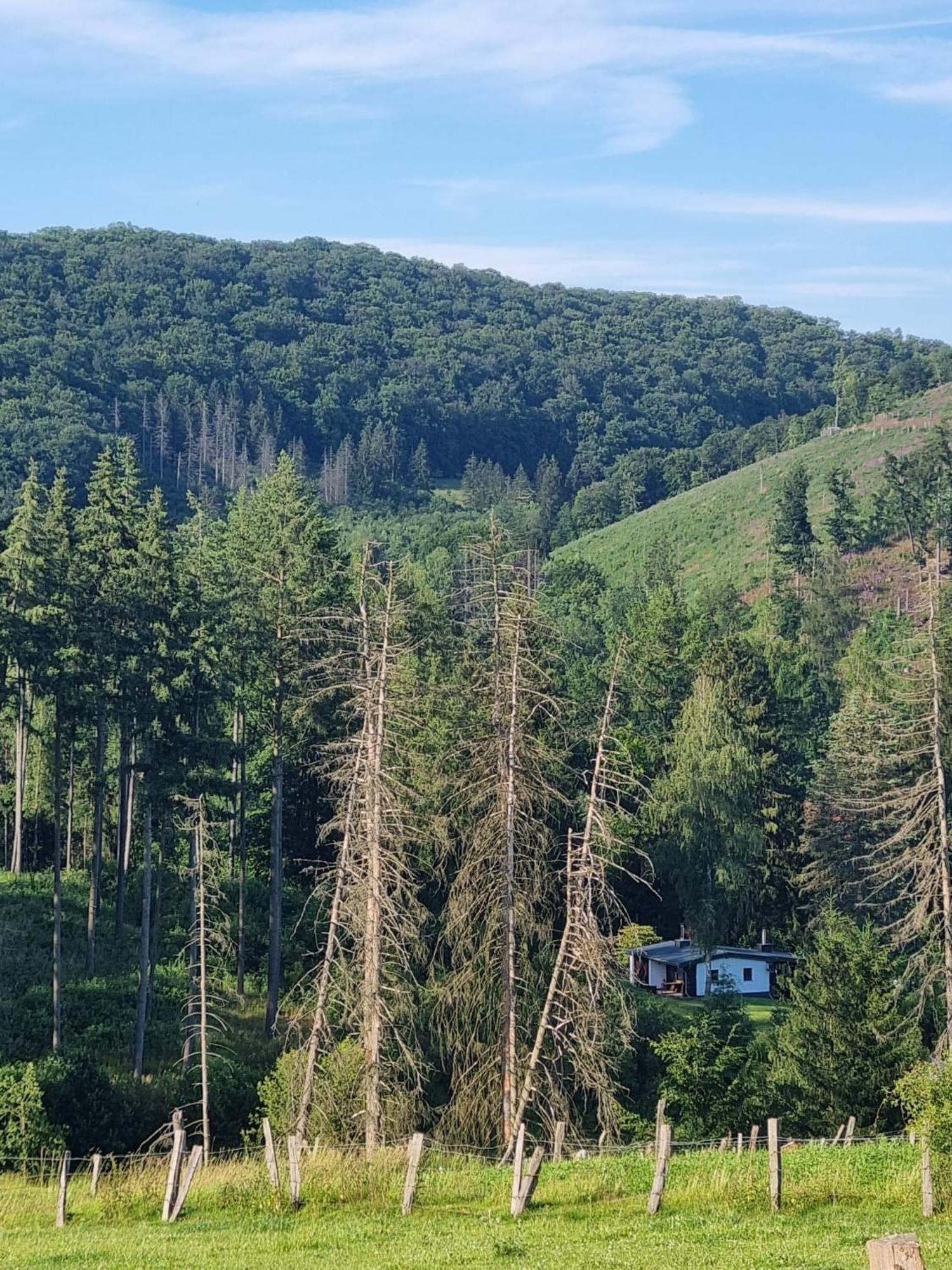 Explorer'S Lodge & Camping Helminghausen Экстерьер фото